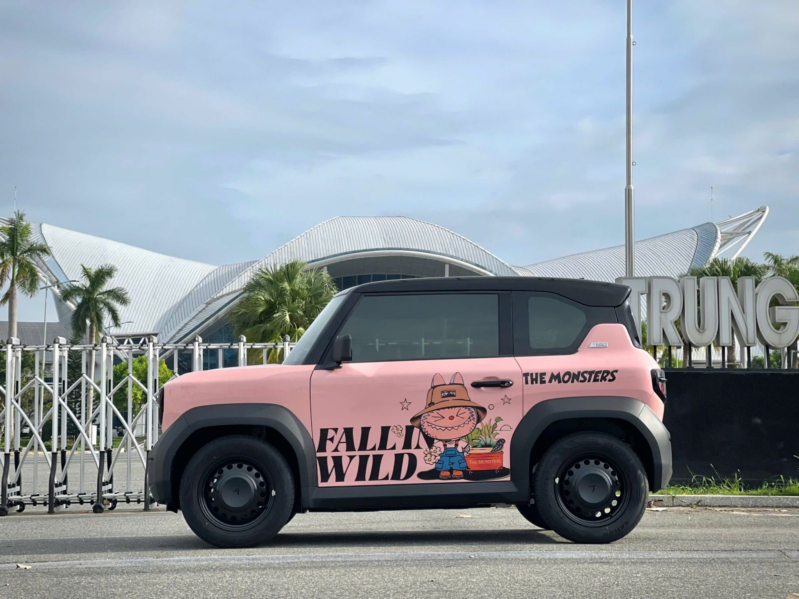 decal_5
